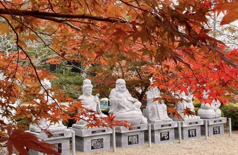 🍂 五大山　白毫寺