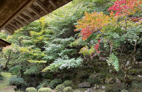 🍂 萬松山　慧日寺　