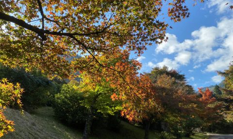 🍂 西天目瑞巌山 高源寺