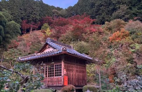 🍂 十九山 達身寺
