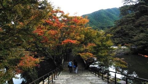 🍂 永谷山 円通寺