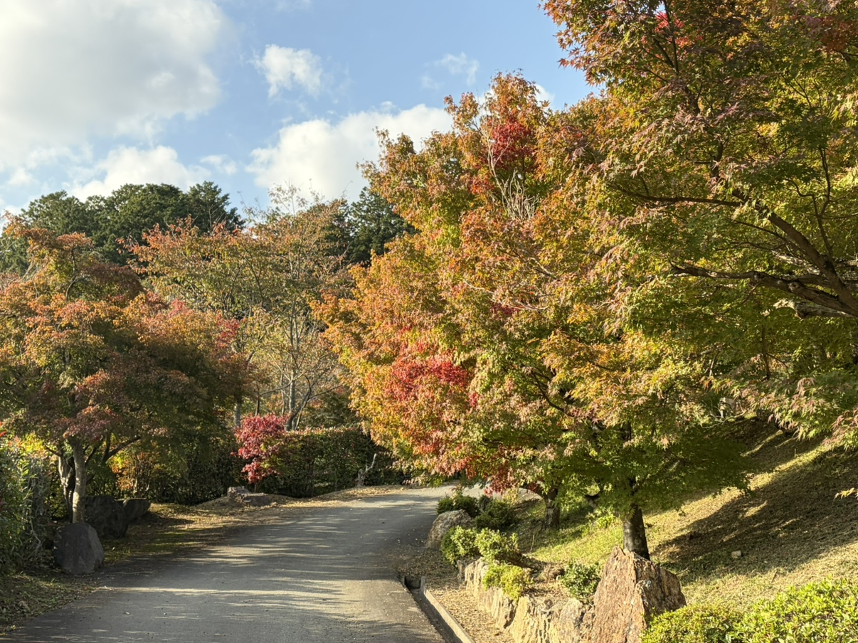🍂 照月山　桂谷寺