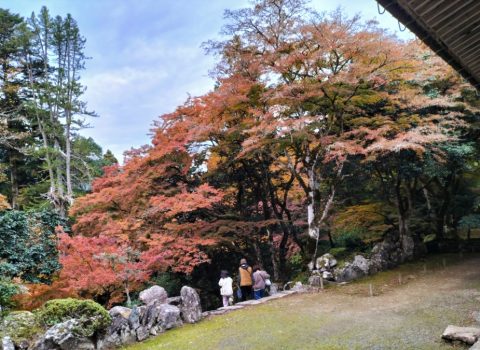 🍂 西天目瑞巌山 高源寺