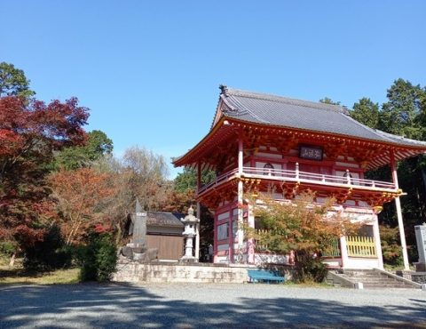 🍂 弘浪山 高山寺