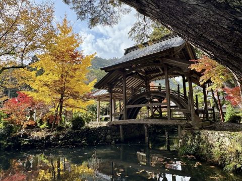 🍂 五大山　白毫寺