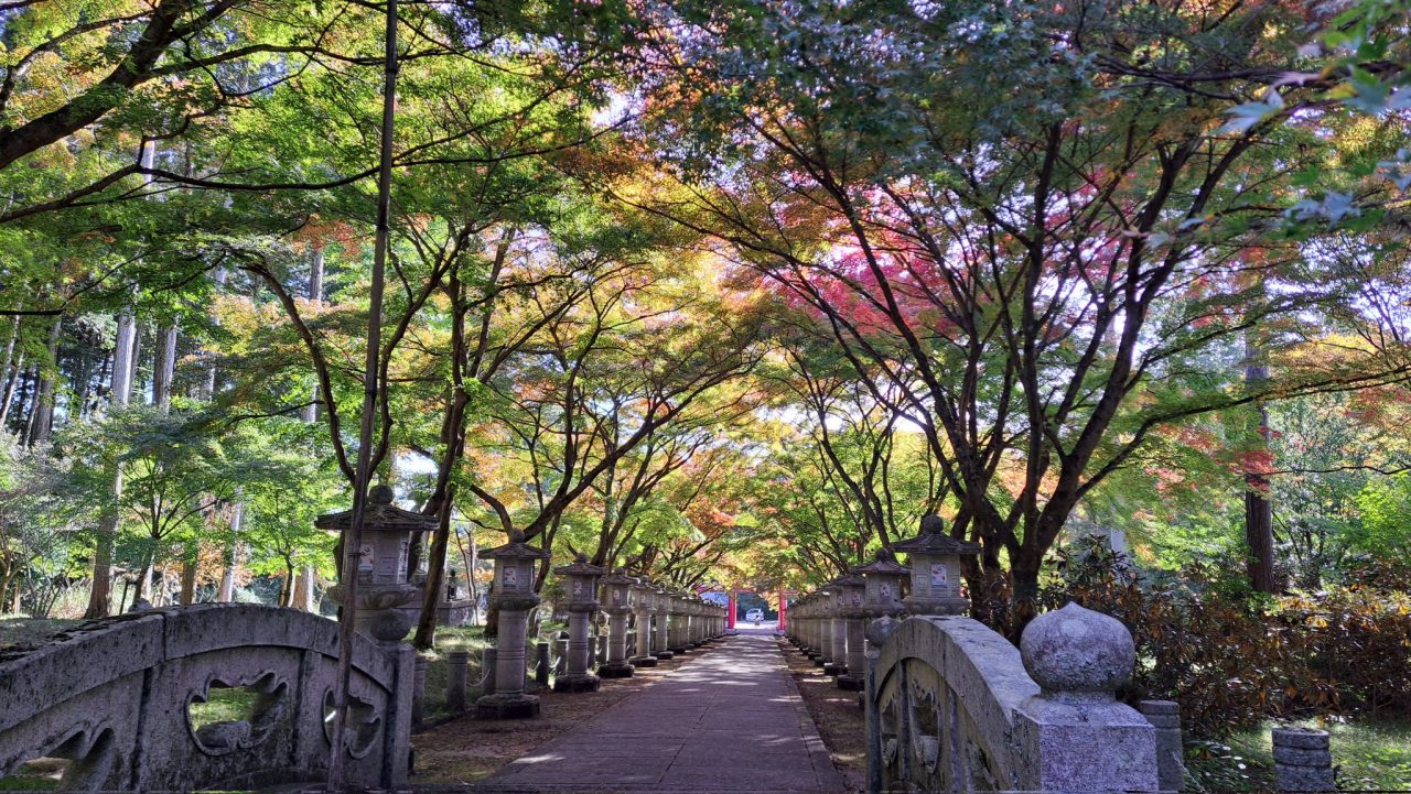 🍂 弘浪山 高山寺