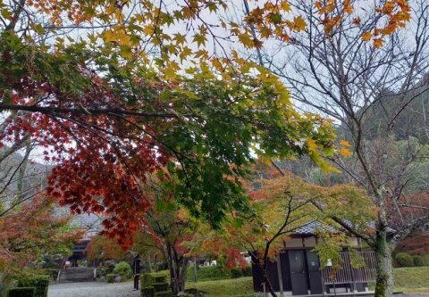 🍂 本光山 三寳寺