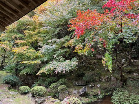 🍂 萬松山 慧日寺　