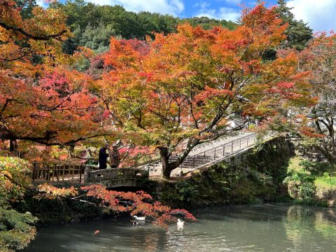 🍂 永谷山 円通寺