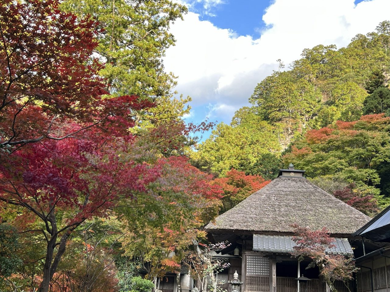🍂 不動山 岩瀧寺