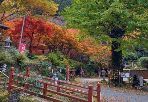 🍂 愛宕山 常瀧寺