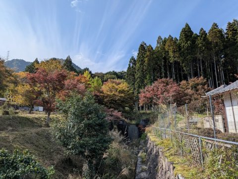 🍂 本光山 三寳寺