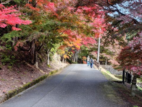 🍂 岩屋山 石龕寺