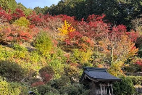🍂 十九山 達身寺