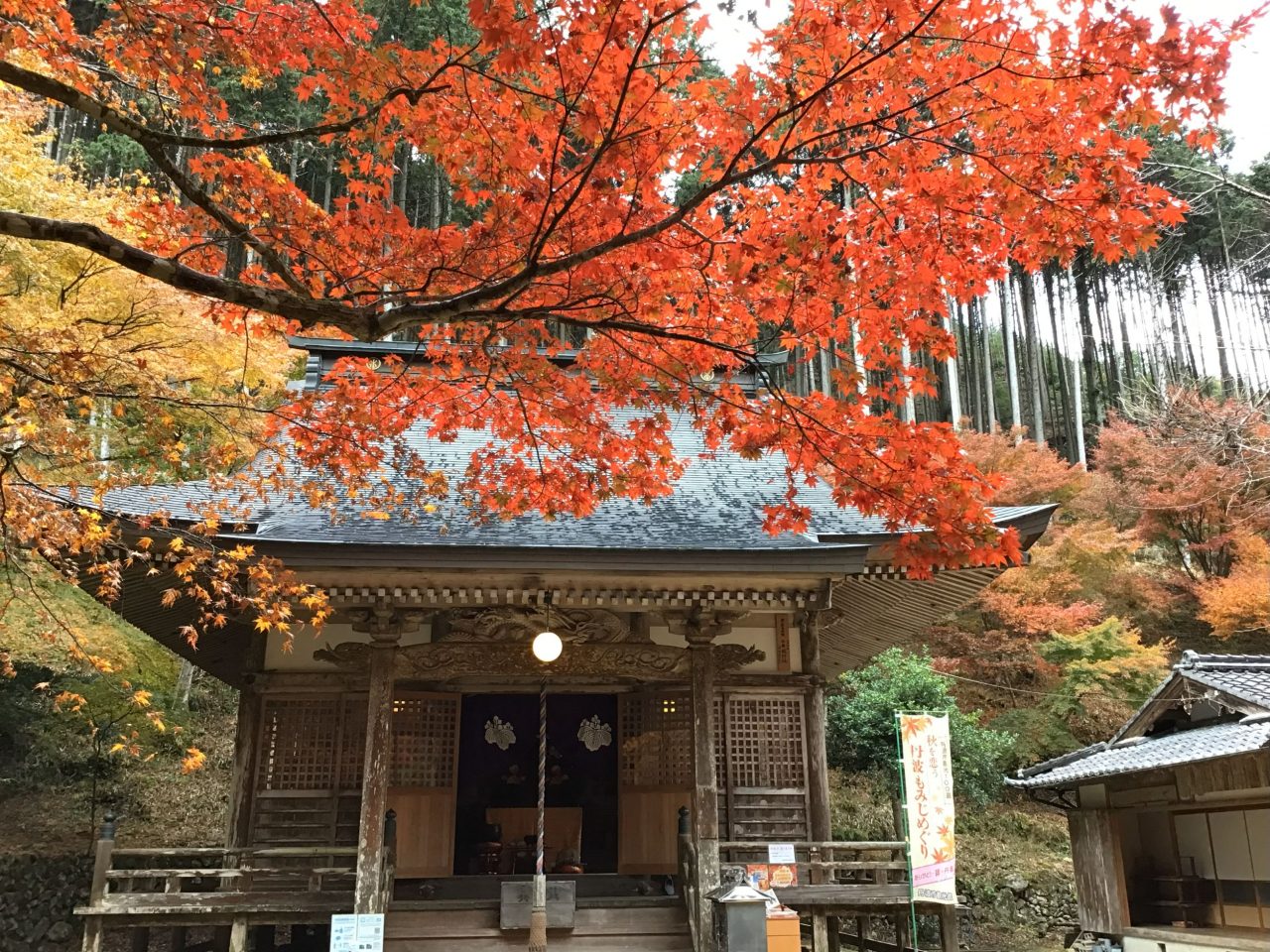 🍂石金山 小新屋観音