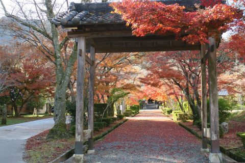 🍂 本光山 三寳寺