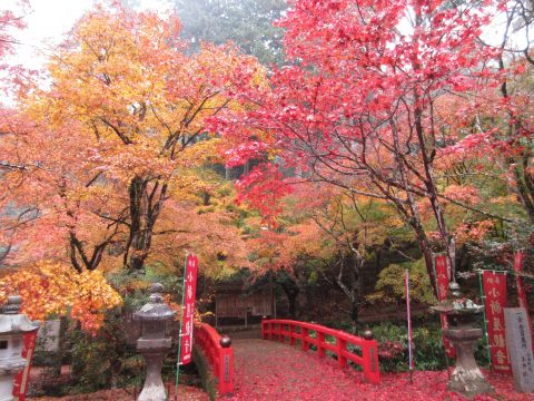 🍂 石金山 小新屋観音