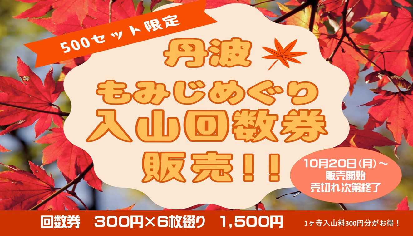 もみじめぐり回数券