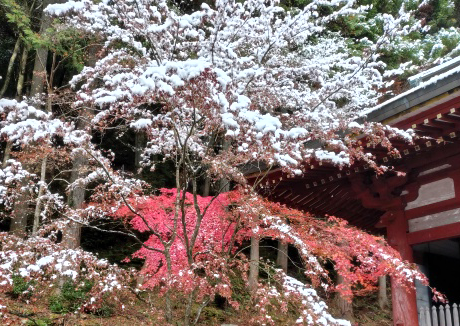 🍂 岩屋山 石龕寺