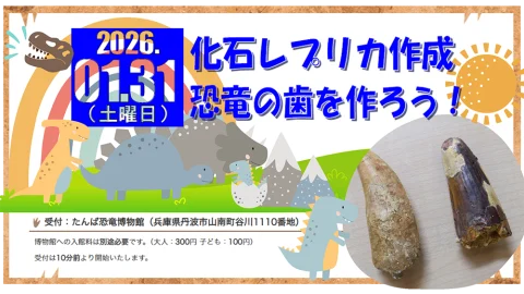 🦕 化石レプリカ作成🦴『 恐竜の歯をつくろう！！』｜丹波市観光協会