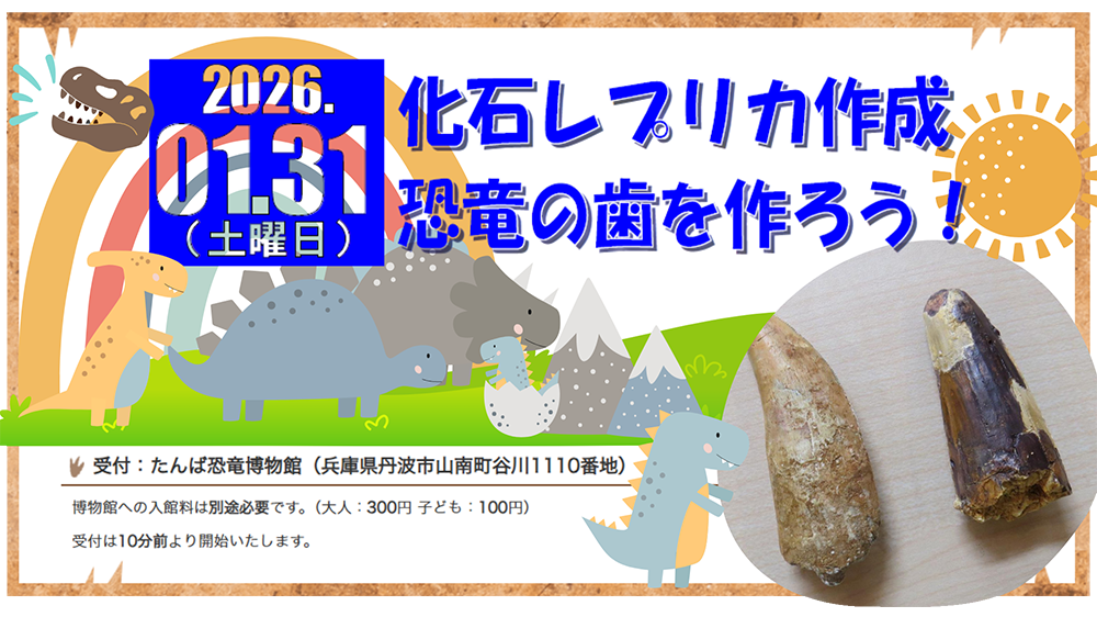 🦕 化石レプリカ作成🦴『 恐竜の歯をつくろう！！』