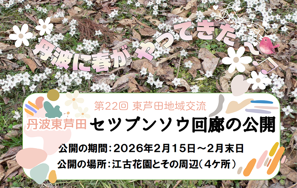 🌼 丹波東芦田 🌼 セツブンソウ回廊 公開