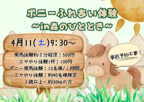 🌳大自然の中、今年の干支🐎と触れあおう！🏕