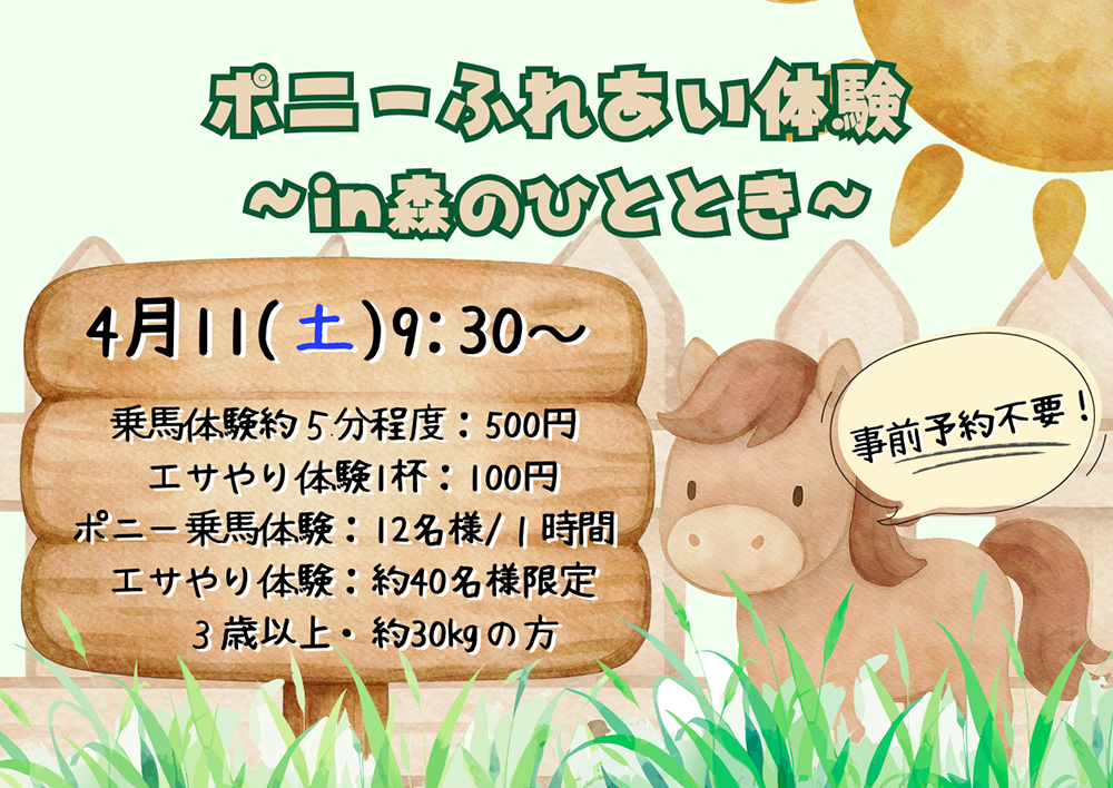 🌳大自然の中、今年の干支🐎と触れあおう！🏕