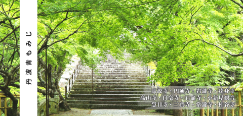 丹波青もみじめぐり2026