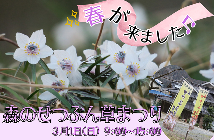 🌼 森のせつぶん草まつり