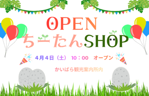 ＼ちーたんSHOP　4月4日（土）オープン🦖／