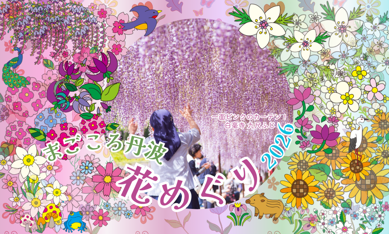 花めぐり 2026 ～ 九尺ふじの章 ～
