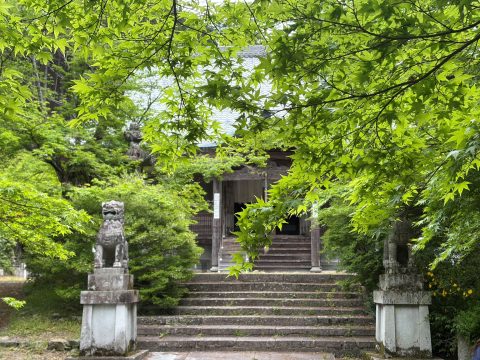 弘浪山 高山寺の青もみじ