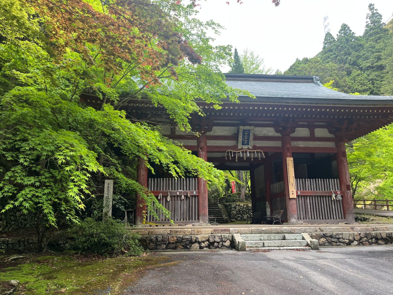 岩屋山 石龕寺の青もみじ