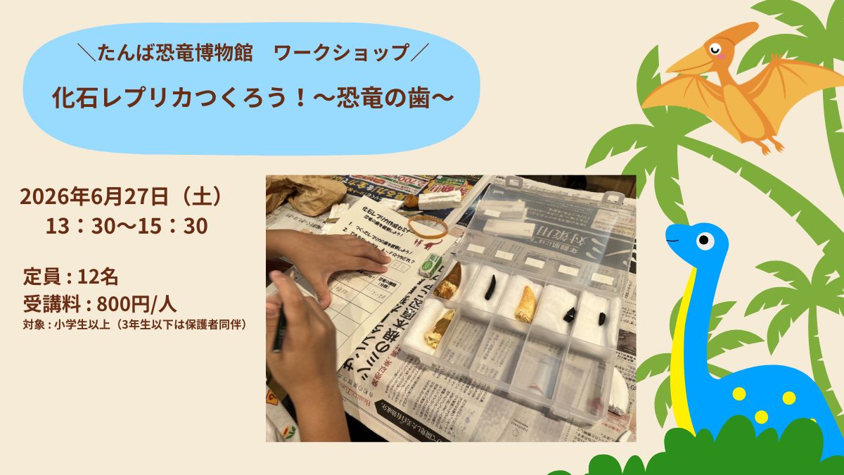 🦕化石レプリカを作ろう～ 恐竜の歯🦷 ～