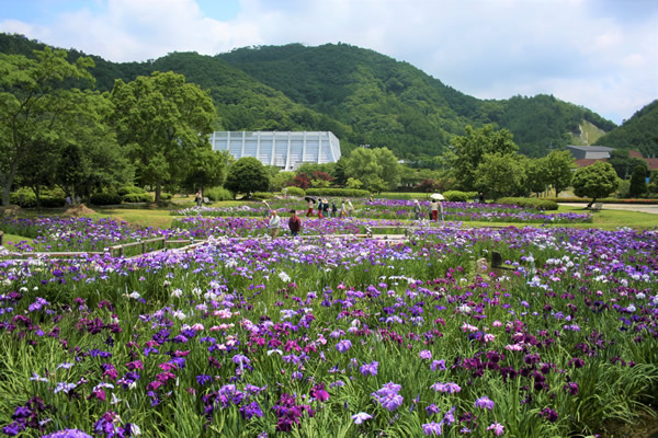 三ツ塚史跡公園（三ツ塚廃寺跡）