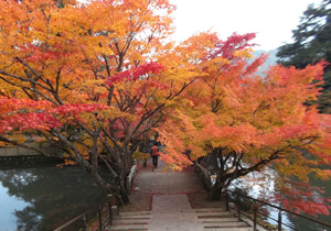 円通寺