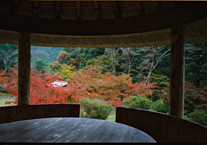 高源寺