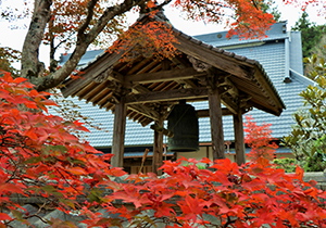 三寶寺