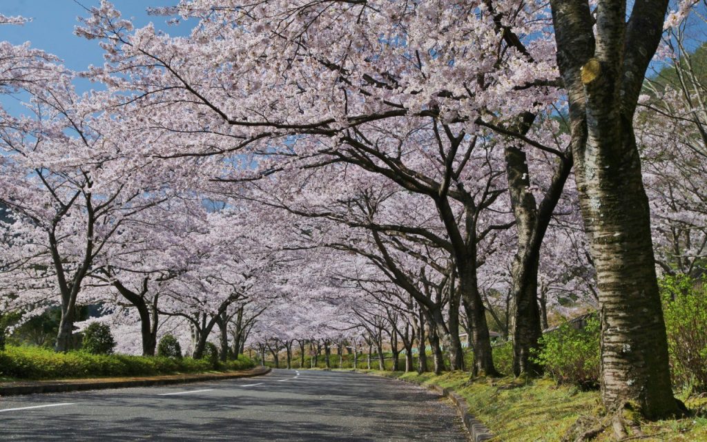 関西（池田記念）墓地公園